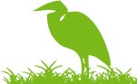 BSA green bird header image