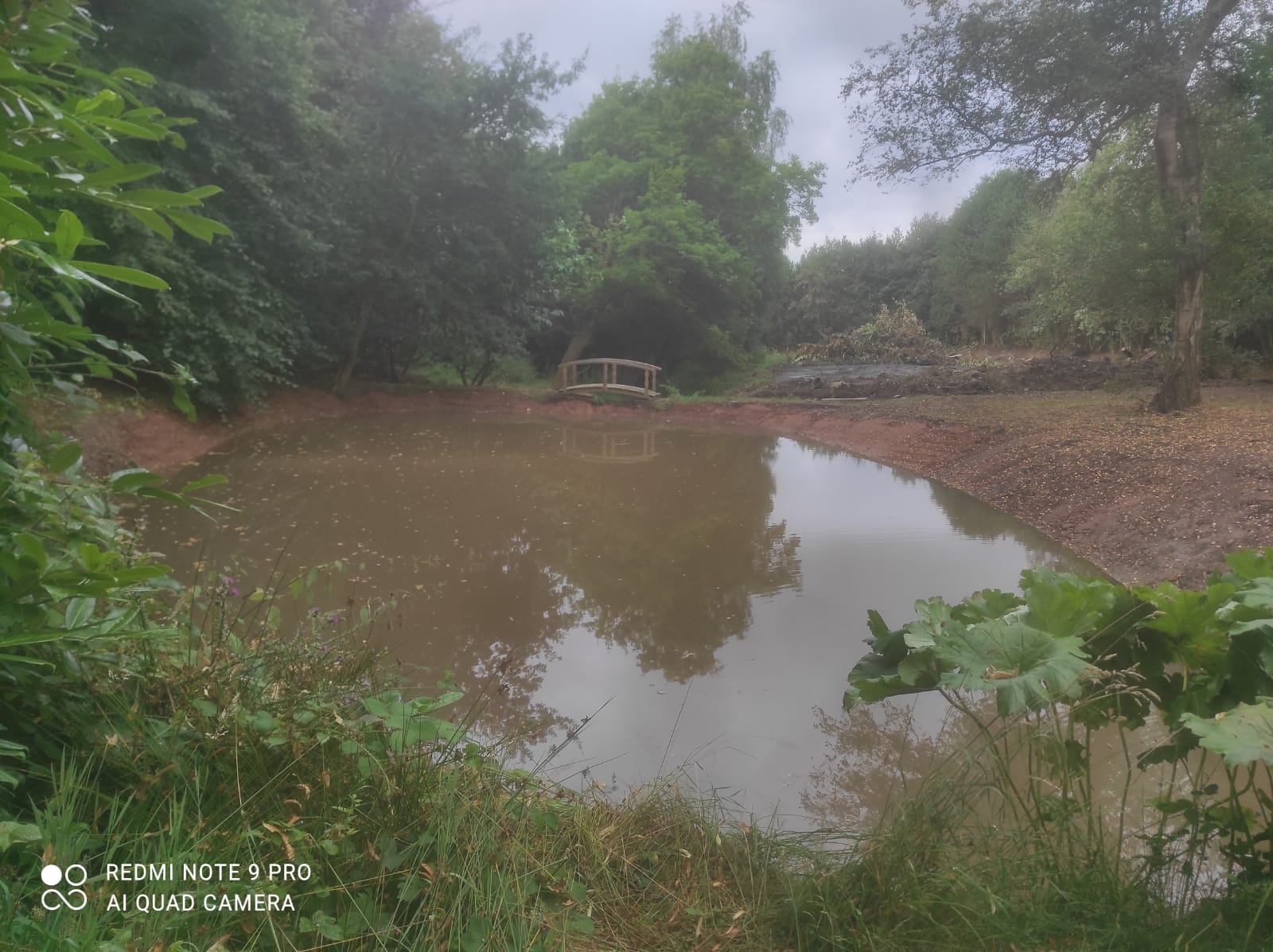 Reform neglected pond – Aug 5th 2021